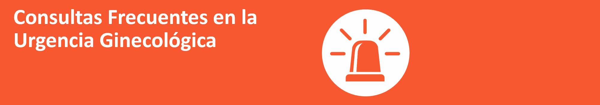 Encabezado Consultas 2026 Largo