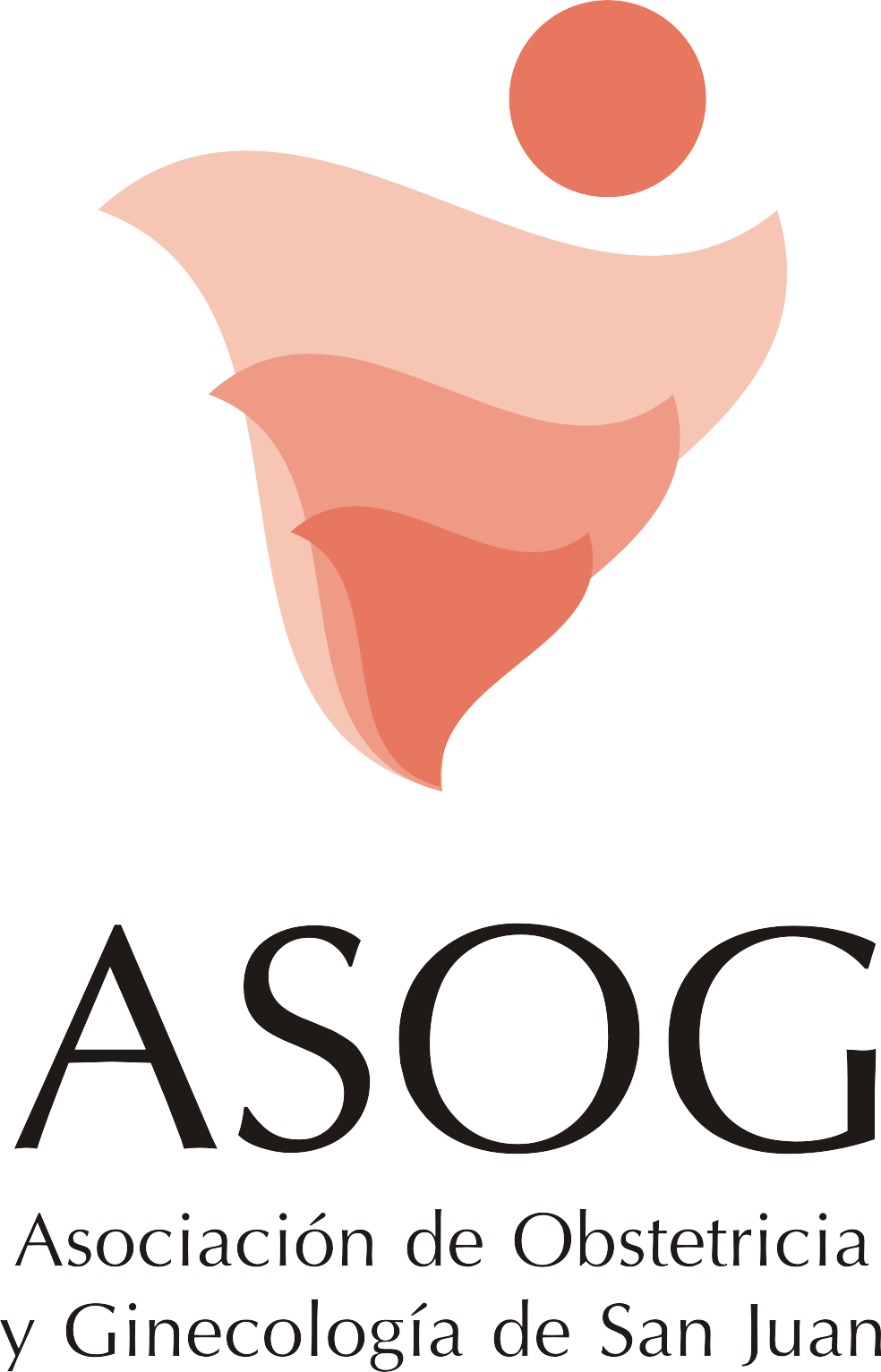 Logo ASOG San Juan