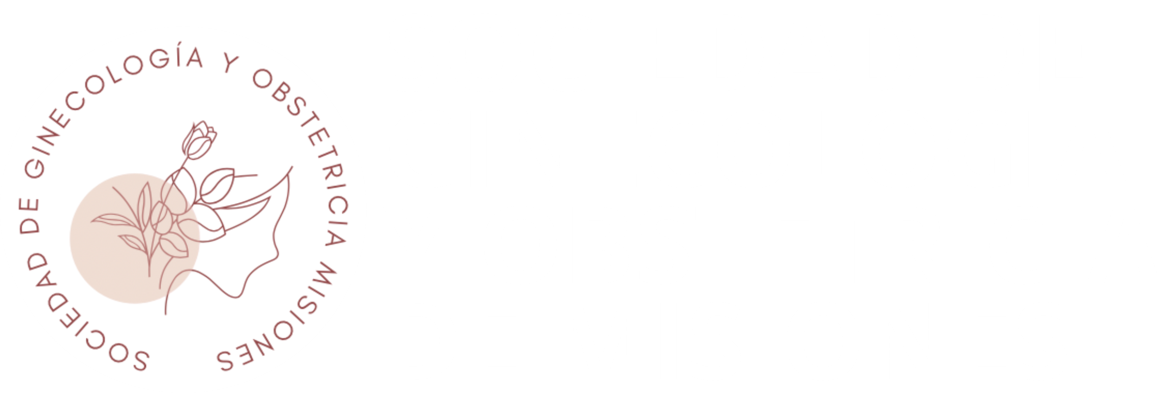 Logo SOCIEDAD Misiones ISO2