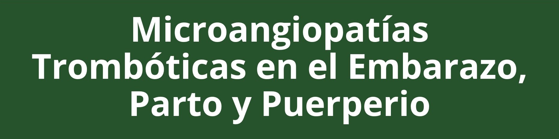 PreCongreso 2025 04