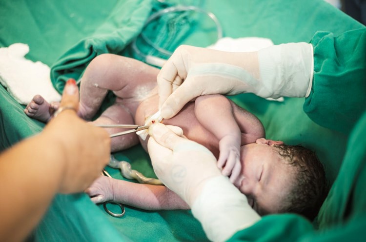 Aspectos biológicos y legales de la donación de sangre de cordón fetal en Argentina.